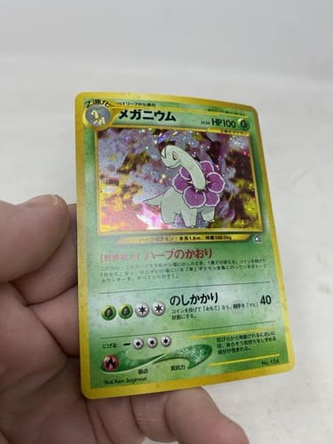 MEGANIUM Pokémon Card No.154 Neo Genesis Vintage Holo Rare 🔥🔥🔺LP- Near Mint — photo 6
