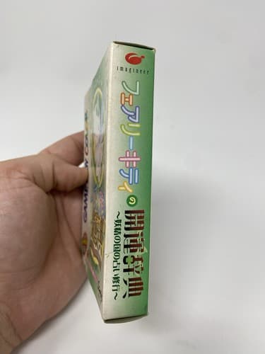 Farley Kitty Good Luck Dictionary Game Boy Color Region Free CIB Complete — photo 3
