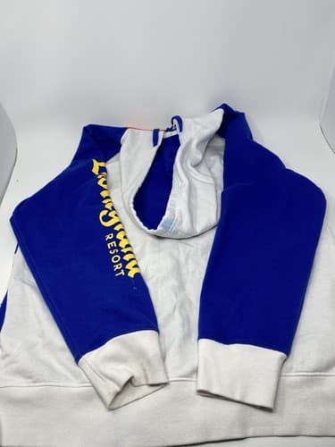 NWT Walt Disney World Parks 2021 Full Zip Hoodie Sweatshirt Large Spellout — photo 7
