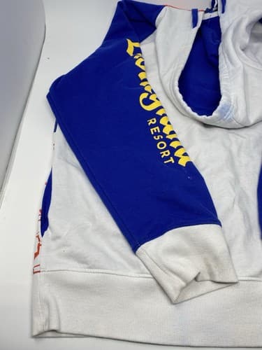 NWT Walt Disney World Parks 2021 Full Zip Hoodie Sweatshirt Large Spellout — photo 9