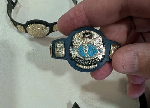 Lot of 11 WWE/WWF/ECW Action Figure Championship Belts, Used — photo 7