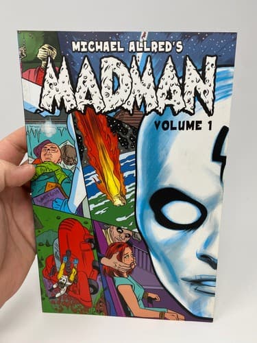 MADMAN VOLUME 1 Michael Allred Image Comics 2010 Paperback 