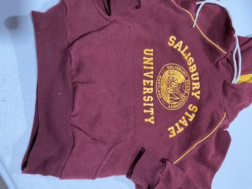 Third Street Sportswear Vintage Salisbury State SU Sweatshirt Hoodie Toddler — photo 6