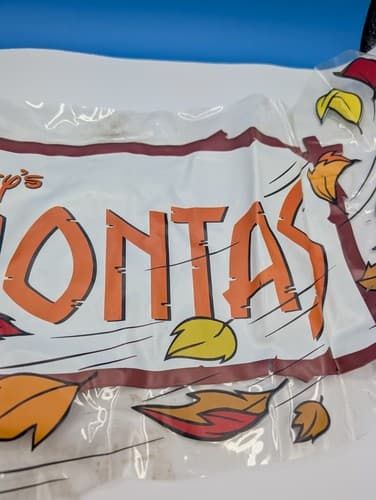 Pocahontas Disney 1995 Movie Logo See-Through Display — photo 6
