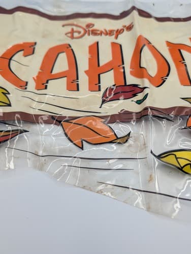 Pocahontas Disney 1995 Movie Logo See-Through Display — photo 8