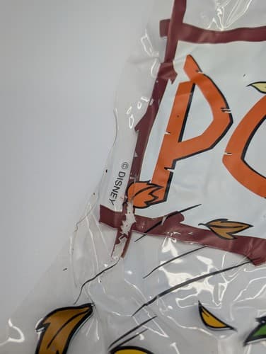Pocahontas Disney 1995 Movie Logo See-Through Display — photo 3