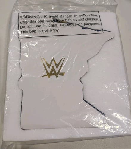 WWE Summerslam Minnesota Championship Mini Belt Rare /250 Limited Ed — photo 2