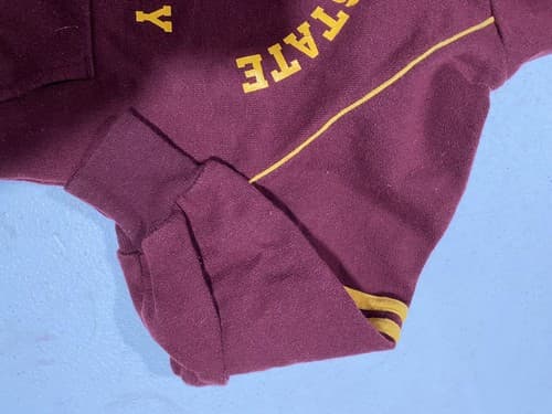 Third Street Sportswear Vintage Salisbury State SU Sweatshirt Hoodie Toddler — photo 3