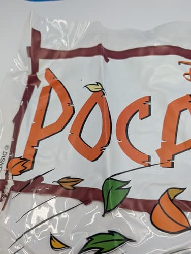 Pocahontas Disney 1995 Movie Logo See-Through Display — photo 4
